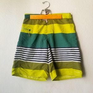 Patagonia Stripe Board Shorts Swim Shorts